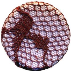 5-1 Worked - Lace (3/4") 5-1 Worked - Lace (3/4")